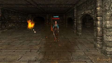 Castle siege. Arcmaze