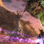 eq2zam-gu67