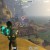 Firefall "Go4Firefall" Tournament