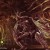RaiderZ_BrokenSilence_002_t