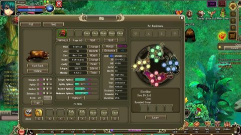 Crystal Saga pet. Crystal Saga